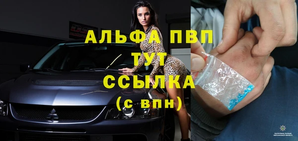 дживик Каменка