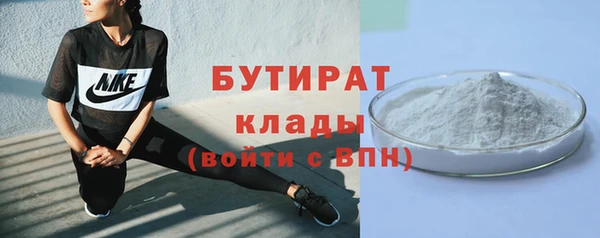 сатива Инта