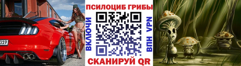 Псилоцибиновые грибы ЛСД  закладка  Ковдор 